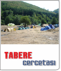 Tabere cercetasi